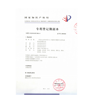 专利